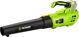Fieldmann FZF 70605-0 Φυσητήρας Μπαταρίας Κήπου 2x20V (Χωρίς Μπαταρία & Φορτιστή)