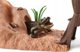 Figurka Schleich Schleich Wild Life Adventure Station, toy figure