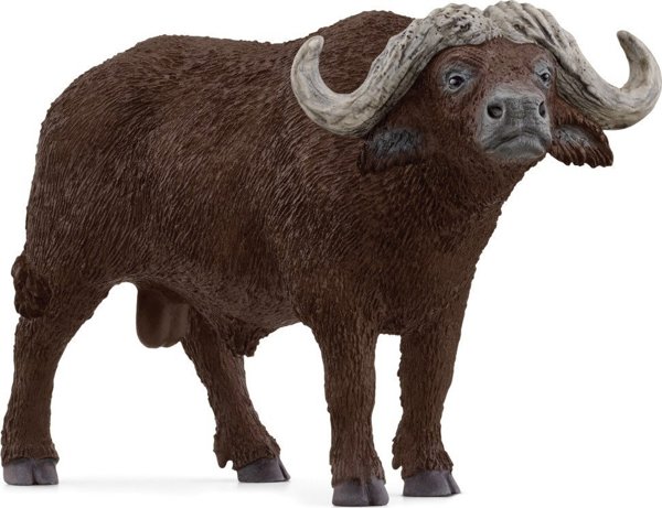 Figurka Schleich SCHLEICH WILD LIFE African Buffalo