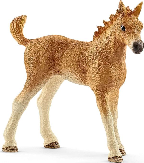 Σετ φιγούρων Schleich Horse Club με άλογα και σκυλάκι