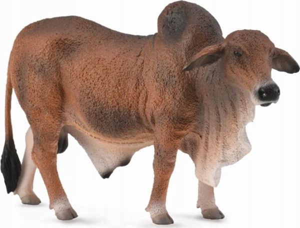 CollectA Φιγούρα Κόκκινος Βράχμαν (Red Brahman Bull) - Συλλεκτικό Ειδώλιο Ζώου 88599 - L