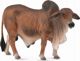 CollectA Φιγούρα Κόκκινος Βράχμαν (Red Brahman Bull) - Συλλεκτικό Ειδώλιο Ζώου 88599 - L