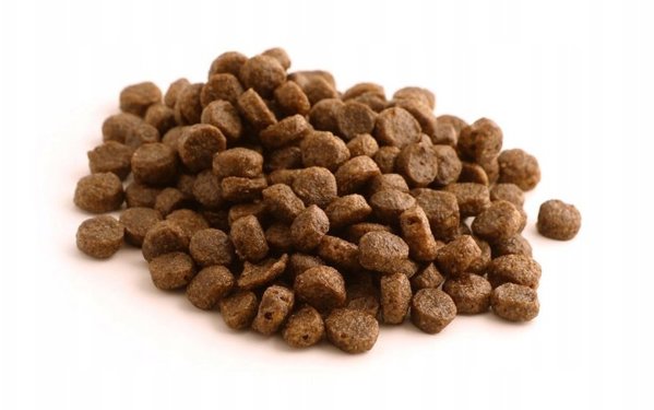 Fish4Dogs Ξηρά τροφή για σκύλους Superior Senior με σολομό (Μικρό Μέγεθος) 6 kg