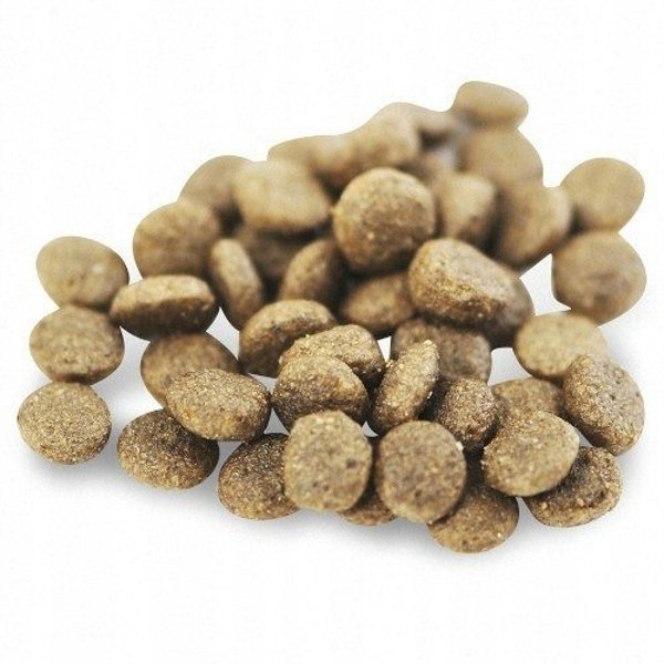 Fish4Dogs Ξηρά τροφή για σκύλους Superior Senior με σολομό (Μικρό Μέγεθος) 6 kg