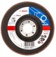 Flap Expert For Metal+Inox 125x551 G60 P