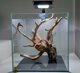 Φωτισμός Fluval Nano Plant LED, 12,7 x 12,7 cm, 15 W