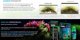 Fluval Fluval LED Φωτισμός φυτού, 38-61cm, 22W 8039245 15561145206