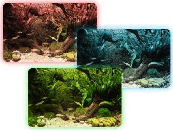 Fluval Fluval AquaSky LED 2.0 μπάρα φωτισμού 12W, 38-61cm 8039249 15561145503