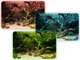 Fluval Fluval AquaSky LED 2.0 μπάρα φωτισμού 12W, 38-61cm 8039249 15561145503