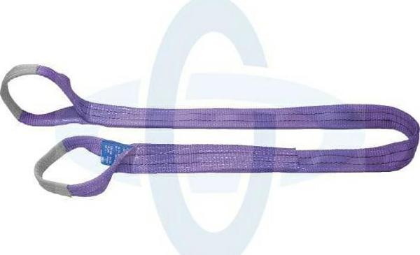 Forankra ZAWIESIE PASOWE 1000KG/5m E-SNV105W