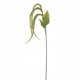 Foxtail Stilk, Grøn, Kunstige Blomster
