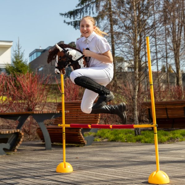 Froster Kon na Kiju - Hobby Horse Skippi - Gniado-Srokaty
