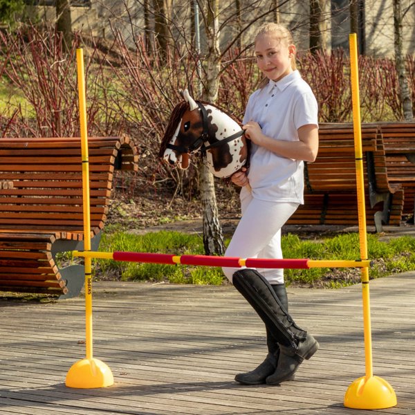 Froster Kon na Kiju - Hobby Horse Skippi - Gniado-Srokaty