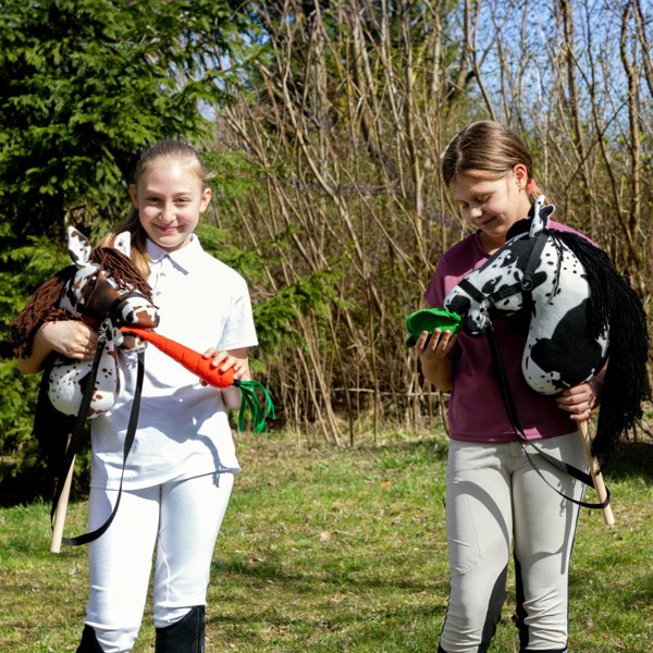 Froster Kon na Kiju - Hobby Horse Skippi - Gniado-Srokaty