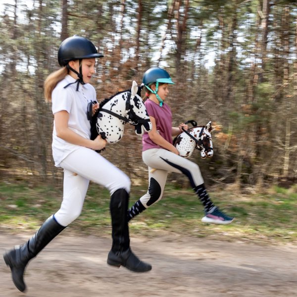 Froster Kon na Kiju - Hobby Horse Skippi - Gniado-Srokaty