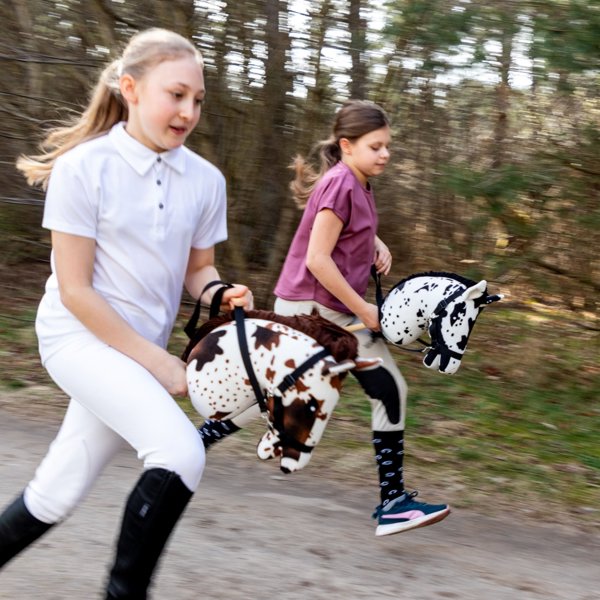 Froster Kon na Kiju - Hobby Horse Skippi - Gniado-Srokaty