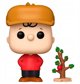 Funko! POP Vinyl ACBC Charlie Brown