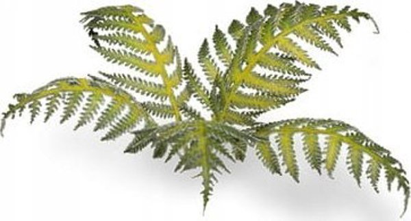 Gamers Grass Laser Plants - Φτέρη (Bracken) - Διακοσμητικά Στοιχεία Μοντελισμού