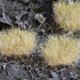 Gamers Grass Gamers Grass: Grass tufts - 12 mm - Winter XL (Wild)