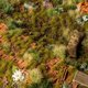 Gamers Grass Τούφες Γρασιδιού Άγριες, Ξηρό Πράσινο Χρώμα, 2mm