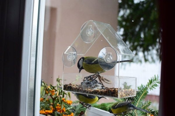 Garden&Fun Διαφανής Ακρυλική Ταΐστρα Πουλιών για Παράθυρο με Βεντούζες, 14,8x6,7x15,5 cm