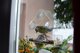 Garden&Fun Διαφανής Ακρυλική Ταΐστρα Πουλιών για Παράθυρο με Βεντούζες, 14,8x6,7x15,5 cm