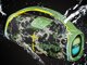 Garso kolonėlė Trevi X JUMP XJ 150 60W GREEN