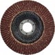 Geko Δίσκος Λείανσης με Πτερύγια 125mm P80 - Αbrasive Flap Disc
