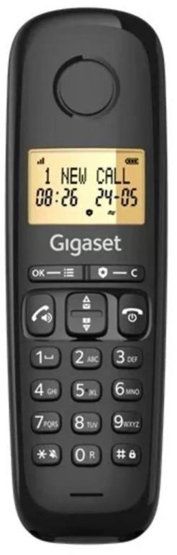 Gigaset Basic 100 Duo Black