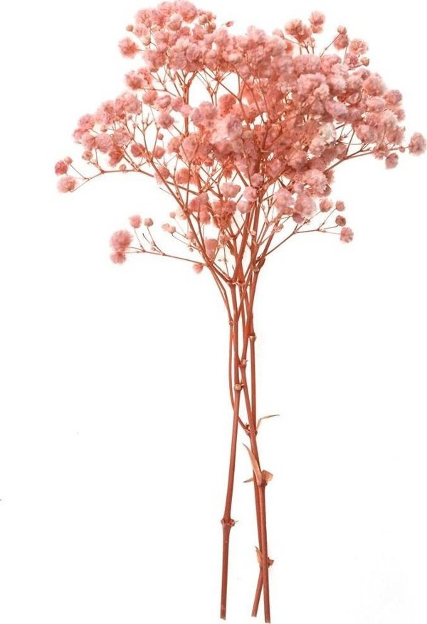 Gipsowka 4 kladia peripou 20 cm light pink