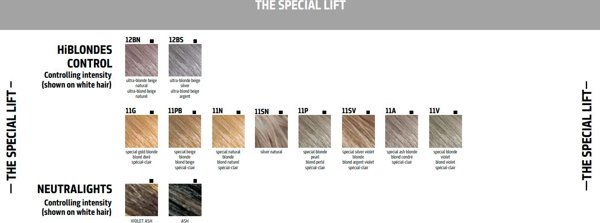 Goldwell Goldwell, TopChic, Permanent Hair Dye, 11SV Special Blonde, 250 ml For Women