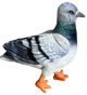 Golab niebieski 30cm 32256