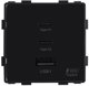 Greito krovimo rozetė Feelspot su USB+C+C jungtimis, 65W, juoda