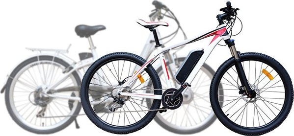 Green Cell Μπαταρία Ηλεκτρικού Ποδηλάτου E-Bike 48V 20Ah 960Wh Li-Ion με Φορτιστή (RCA)