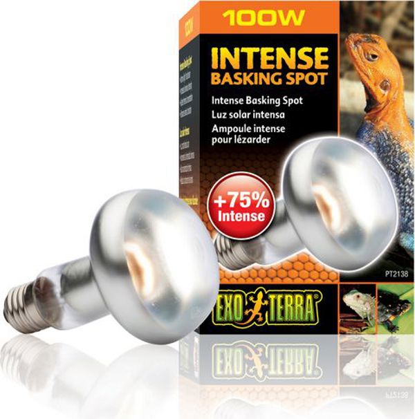 Λάμπα Θερμότητας Hagen EXOTERRA INTENSE SPOT 100W