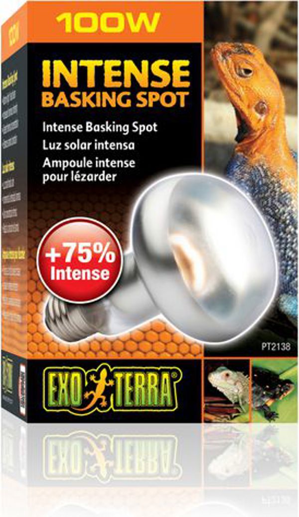 Λάμπα Θερμότητας Hagen EXOTERRA INTENSE SPOT 100W