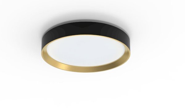 HANNO CEILING SS RD 24W 40K B_G