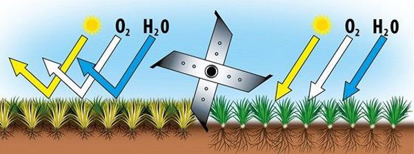 Hecht Βενζινοκίνητος Aerator 2 σε 1 (σκαριφιστήρας/αεριστήρας) με Briggs & Stratton 750E και 2 μεταλλικούς κυλίνδρους (5676)