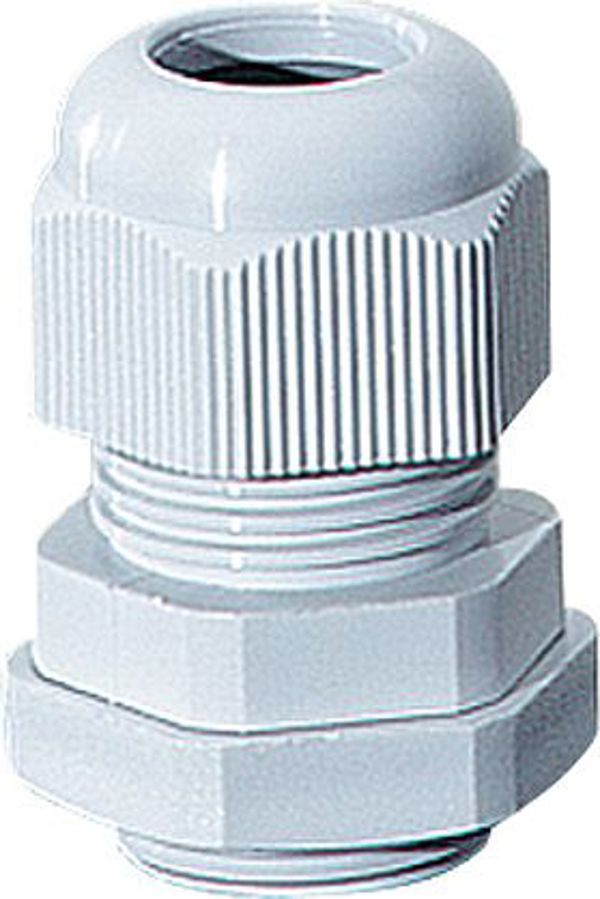 Hensel Klodiodies AKM poliamidowa IP65 jasnoszara M50