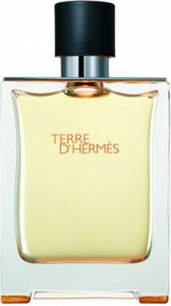 Hermès Terre d'Hermes EDT 100 ml