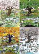 Heye Puzzle 2000 elementów - Cztery pory roku
