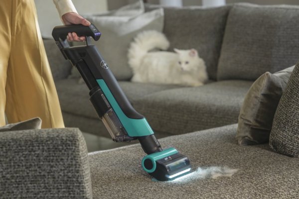 HF2 Pet Black/Turquoise