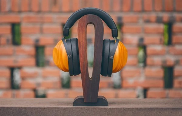 HiFiMAN HE-R10D Ασύρματα δυναμικά ακουστικά