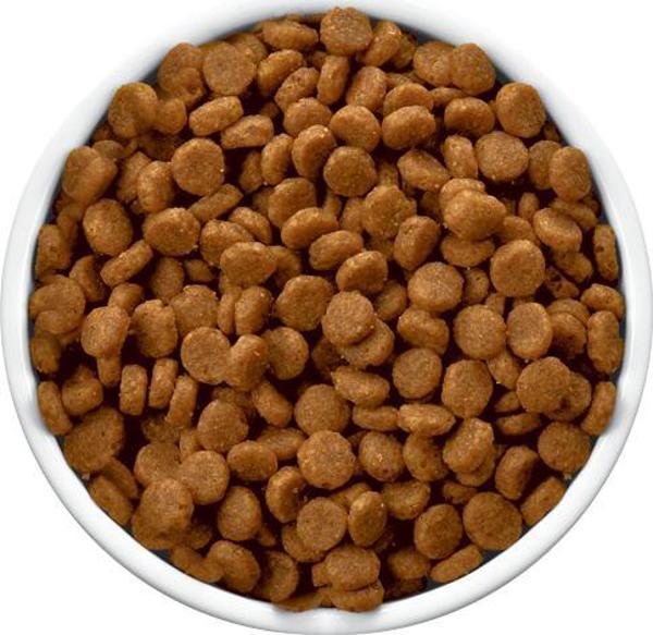 Hills  HILL"S Feline c/d 8kg
