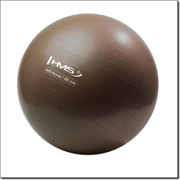 HMS Μπάλα γυμναστικής Anti Burst 65cm Grizzly (YB02)