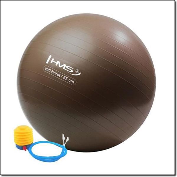 HMS Μπάλα γυμναστικής Anti Burst 65cm Grizzly (YB02)