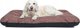 Hobbydog Στρώμα Eco Prestige για Κατοικίδια, Μπεζ, 70 cm