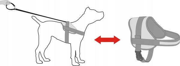 Hobbydog R2 SZELKI JULLETTA NIEBIESKIE