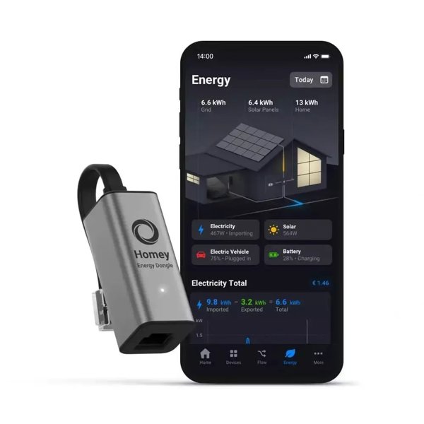 Homey Energy Dongle