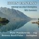 Horn Fantasy